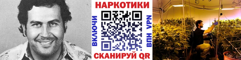 Купить Дятьково А ПВП hydra зеркало Марихуана АМФ Cocaine Меф мяу мяу